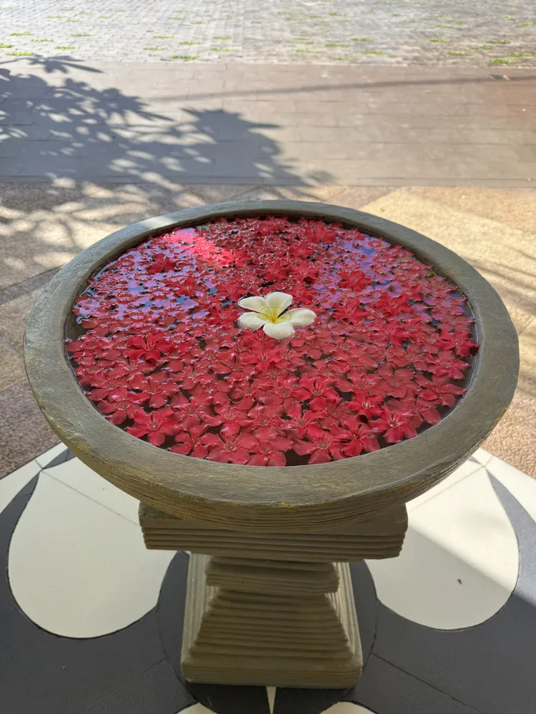 Siem Reap, Cambodia — retreat surroundings